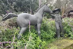 28108 Thornton Rd, Thornton, CA 95632 - Photo 5