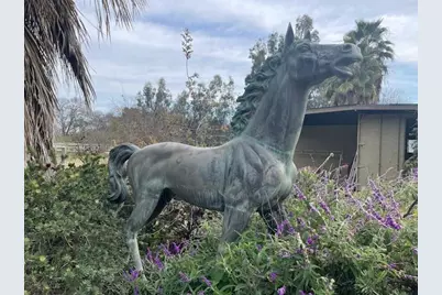 28108 Thornton Road, Thornton, CA 95632 - Photo 3