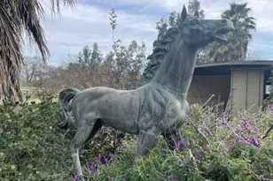 28108 Thornton Rd, Thornton, CA 95632 - Photo 3