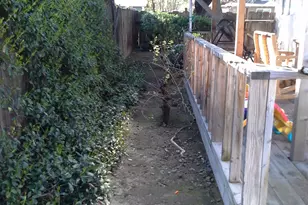 1880 Donnelly Park Dr, Turlock, CA 95382 - Photo 19