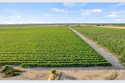 53200 S River Road, Clarksburg, CA 95612 - Photo 53