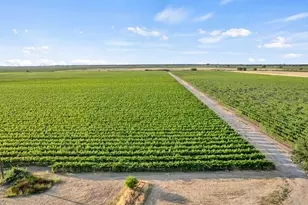 53200 S River Rd, Clarksburg, CA 95612 - Photo 53