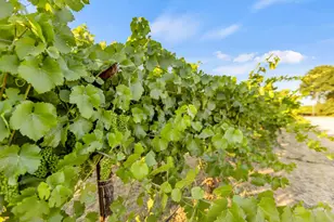 53200 S River Rd, Clarksburg, CA 95612 - Photo 41