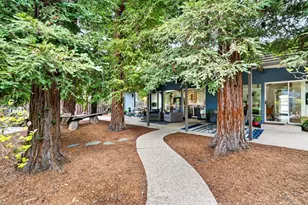 1009 Ovejas Ave, Davis, CA 95616 - Photo 39