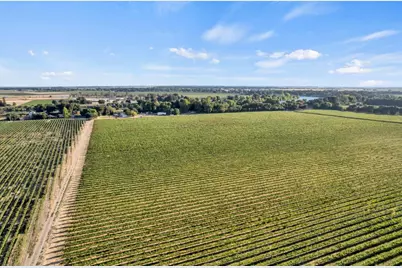 53140 S River Road, Clarksburg, CA 95612 - Photo 61