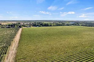 53140 S River Rd, Clarksburg, CA 95612 - Photo 61