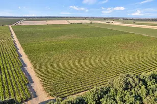 53140 S River Rd, Clarksburg, CA 95612 - Photo 57