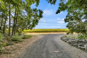 53140 S River Rd, Clarksburg, CA 95612 - Photo 49