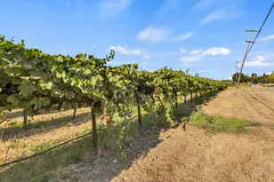 53140 S River Rd, Clarksburg, CA 95612 - Photo 47