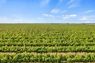 53140 S River Rd, Clarksburg, CA 95612 - Photo 63