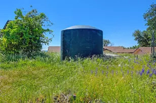 17475 Misty Dawn Ln, Grass Valley, CA 95949 - Photo 37