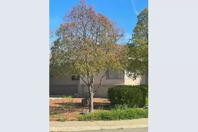 2325 Glen Ellen Circle, Sacramento, CA 95822 - Photo 3