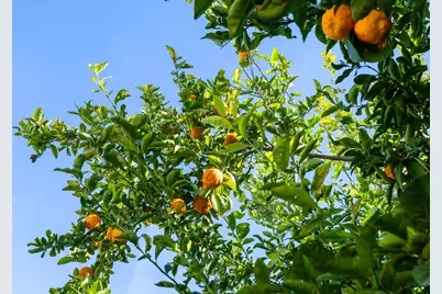 9464 Roseport Way, Sacramento, CA 95826 - Photo 33