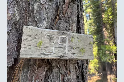 392 Boards Crossing Road, Arnold, CA 95223 - Photo 31