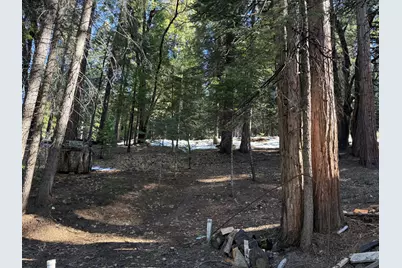 392 Boards Crossing Road, Arnold, CA 95223 - Photo 3