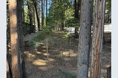 392 Boards Crossing Road, Arnold, CA 95223 - Photo 27