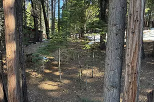 392 Boards Crossing Rd, Arnold, CA 95223 - Photo 27