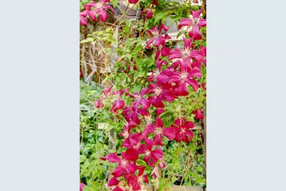 13784 Greenhorn Road, Grass Valley, CA 95945 - Photo 71