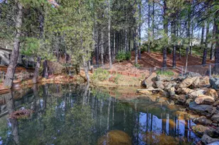 Dalewood Way, Grass Valley, CA 95949 - Photo 51