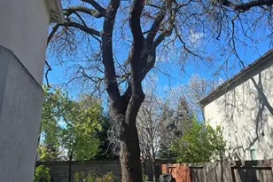 10223 Paulsell Dr, Stockton, CA 95209 - Photo 41