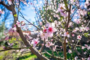 5129 Illinois Ave, Fair Oaks, CA 95628 - Photo 53