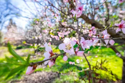 5129 Illinois Avenue, Fair Oaks, CA 95628 - Photo 55