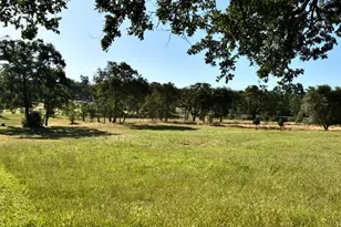 4703 Doe St, Shingle Springs, CA 95682 - Photo 1