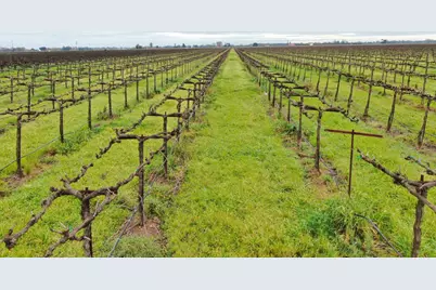 21610 N Devries Road, Lodi, CA 95242 - Photo 11