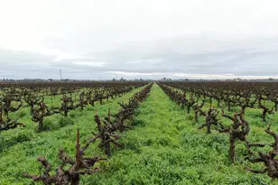 21610 N Devries Rd, Lodi, CA 95242 - Photo 1
