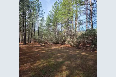 6721 Eaton Road, Georgetown, CA 95634 - Photo 9