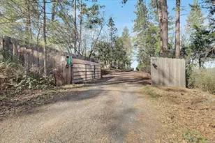 11595 Miller Peak Rd, Oroville, CA 95965 - Photo 59