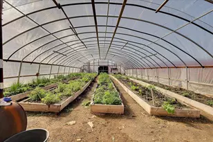 11595 Miller Peak Rd, Oroville, CA 95965 - Photo 57