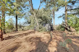 11595 Miller Peak Rd, Oroville, CA 95965 - Photo 49