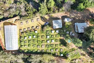 11595 Miller Peak Rd, Oroville, CA 95965 - Photo 67