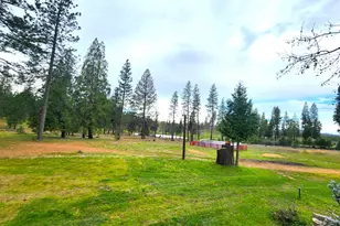 19500 Jesus Maria Rd, Mokelumne Hill, CA 95245 - Photo 43