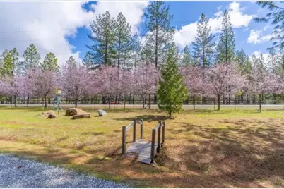 19500 Jesus Maria Road, Mokelumne Hill, CA 95245 - Photo 65