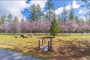 19500 Jesus Maria Rd, Mokelumne Hill, CA 95245 - Photo 65