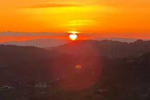 3204 Skunk Ranch Rd, Murphys, CA 95247 - Photo 55