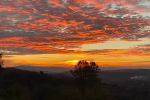 3204 Skunk Ranch Rd, Murphys, CA 95247 - Photo 53