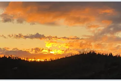 3204 Skunk Ranch Road, Murphys, CA 95247 - Photo 57