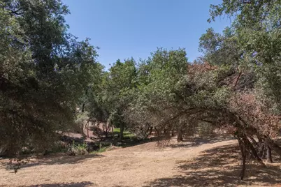 336 Catalpa Lane, Angels Camp, CA 95222 - Photo 15