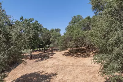 336 Catalpa Lane, Angels Camp, CA 95222 - Photo 13