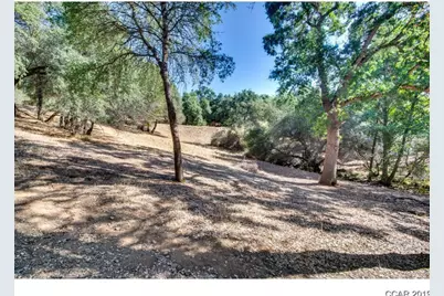 336 Catalpa Lane, Angels Camp, CA 95222 - Photo 7