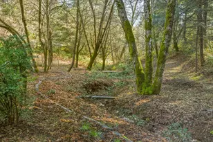 13999 Fifield Rd, Grass Valley, CA 95945 - Photo 39