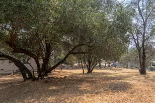 0 736 Live Oak, Angels Camp, CA 95222 - Photo 1