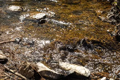 10925 Joeger Road, Auburn, CA 95602 - Photo 17