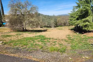 4464 Moccasin Ct, Copperopolis, CA 95228 - Photo 1