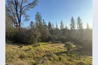 14292 W Van Tam Way, Grass Valley, CA 95949 - Photo 19