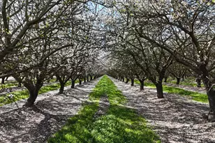 11152 Carrolton Rd, Escalon, CA 95320 - Photo 27