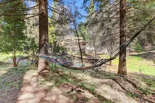 11793 Coyote Ct, Nevada City, CA 95959 - Photo 77